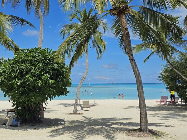 Uncover hidden real estate gems in la tania today!